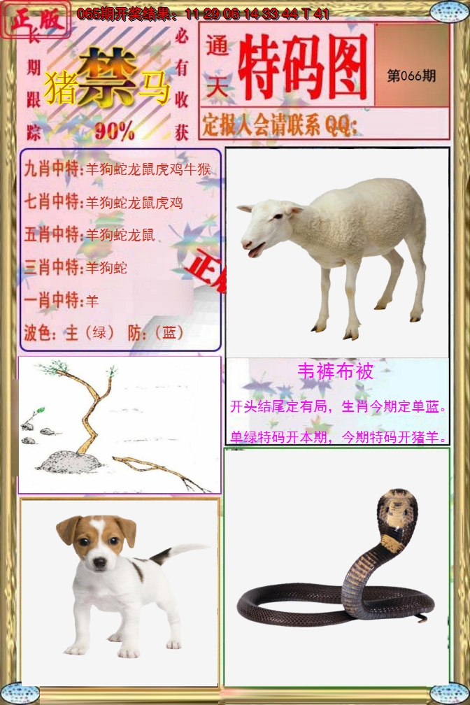 2025066期特码图