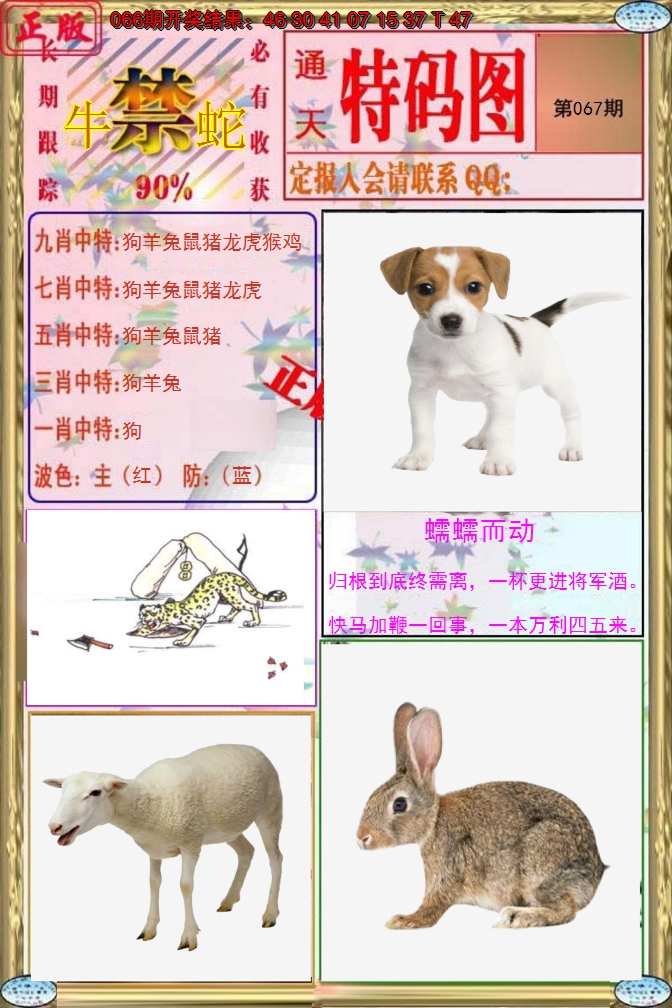 2025067期特码图