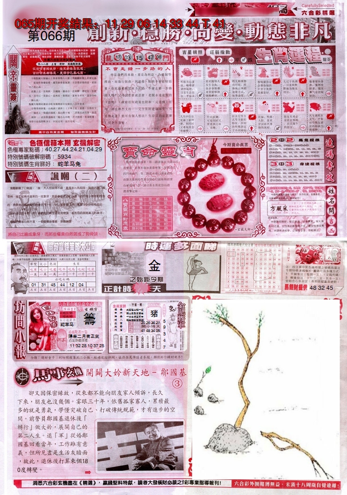 2025066期新六合精选C