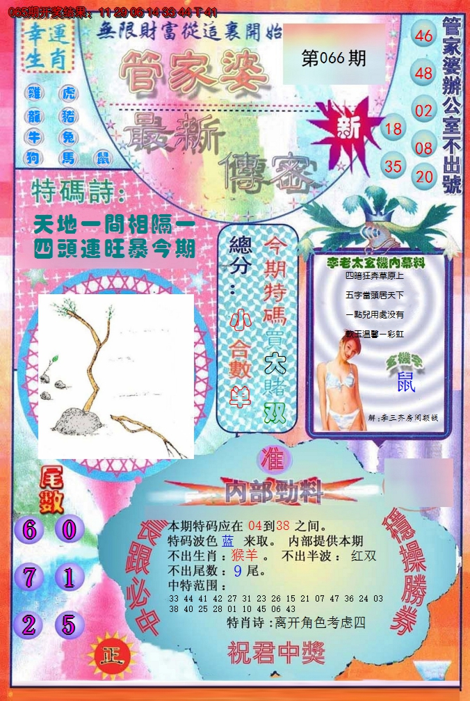 2025066期管家婆新传密