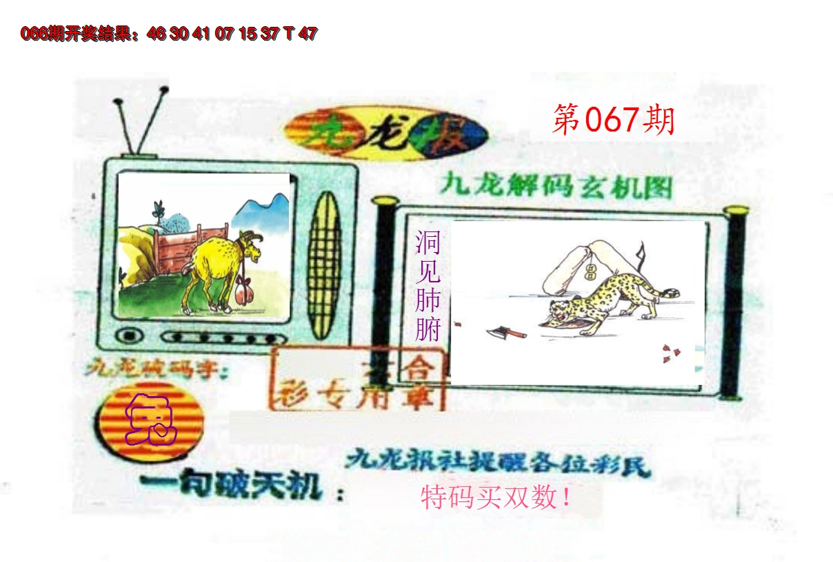 2025067期九龙报