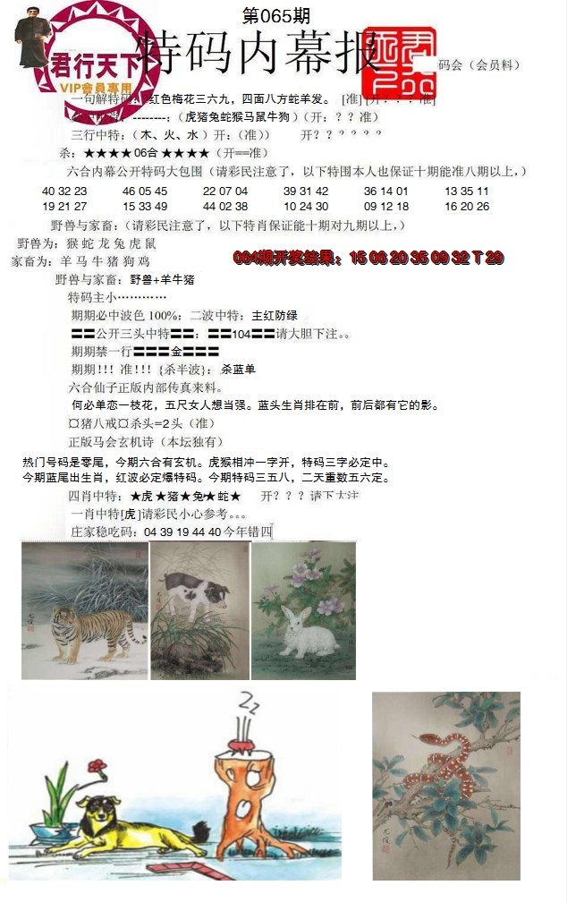 2025065期特码内幕报