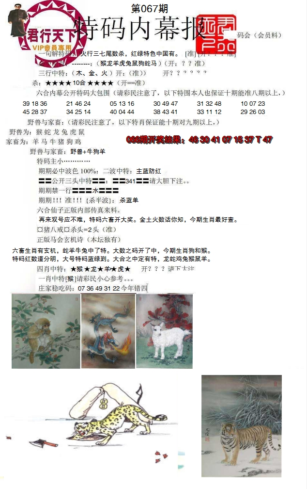 2025067期特码内幕报