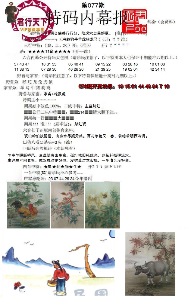 2025077期特码内幕报