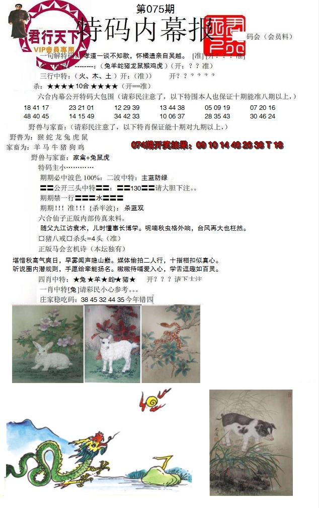 2025075期特码内幕报