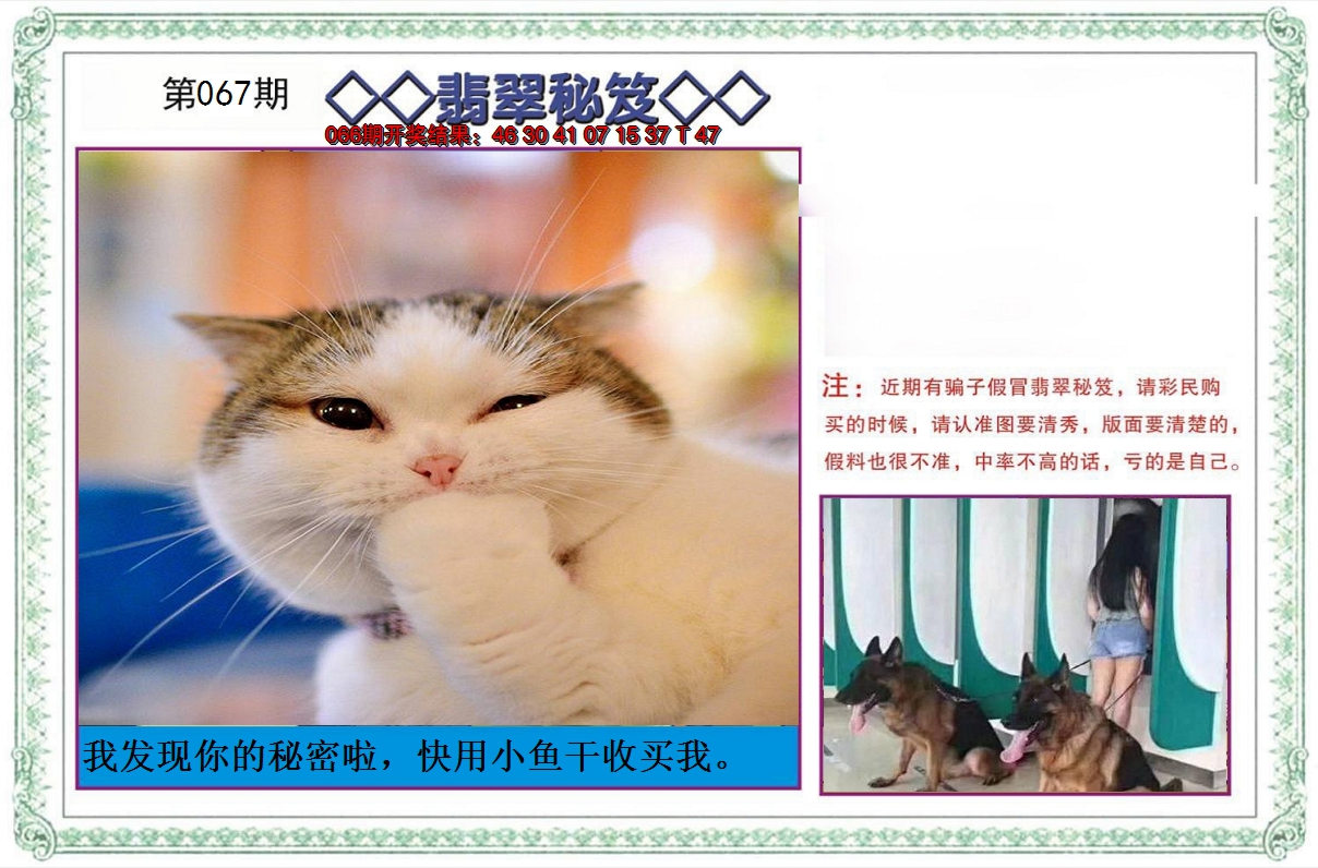 2025067期翡翠秘笈