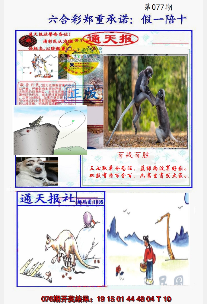 2025077期假一陪十通天报