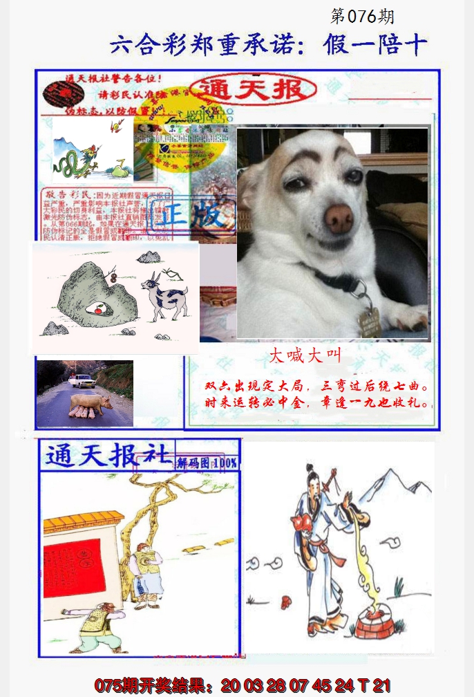 2025076期假一陪十通天报