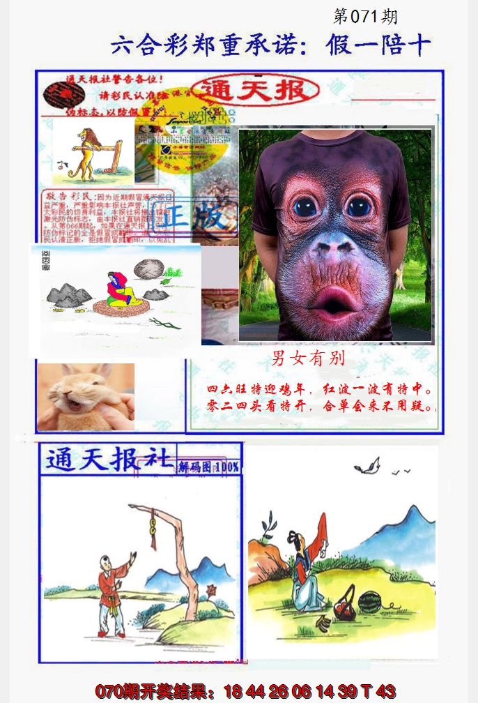 2025071期假一陪十通天报