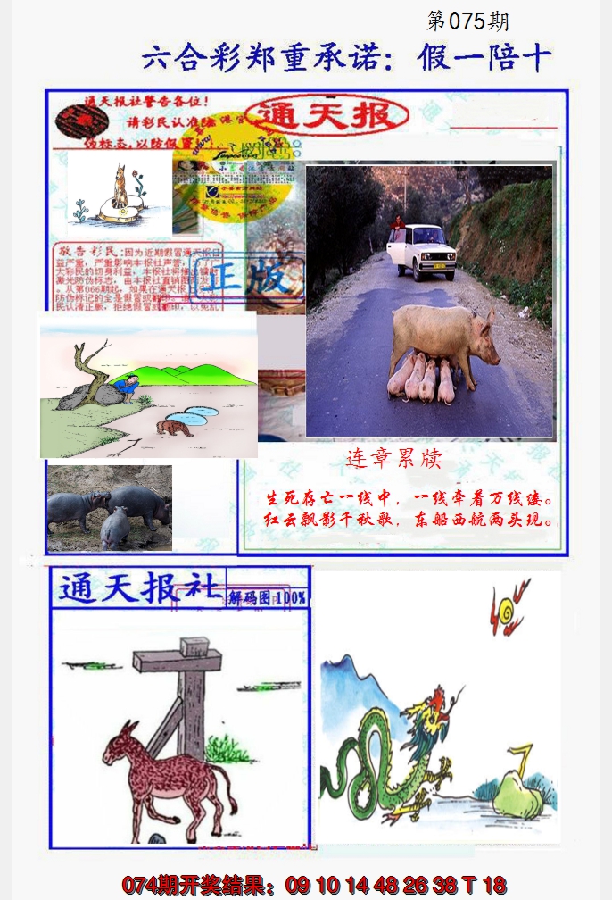2025075期假一陪十通天报