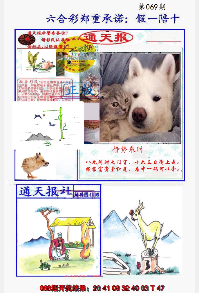2025069期假一陪十通天报