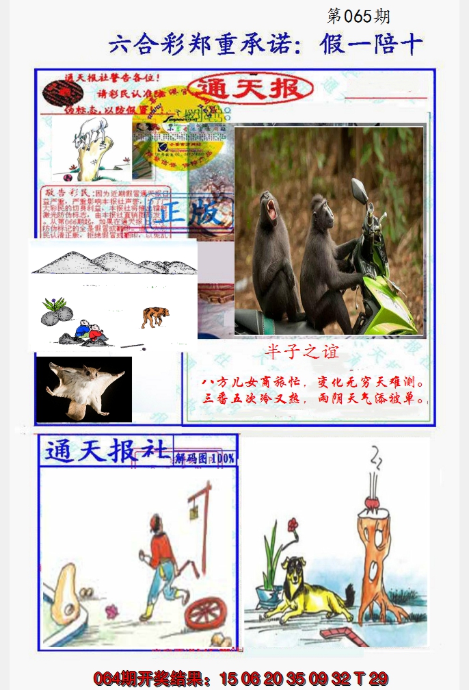 2025065期假一陪十通天报