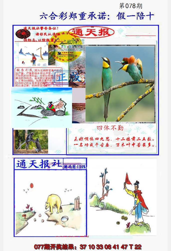 2025078期假一陪十通天报