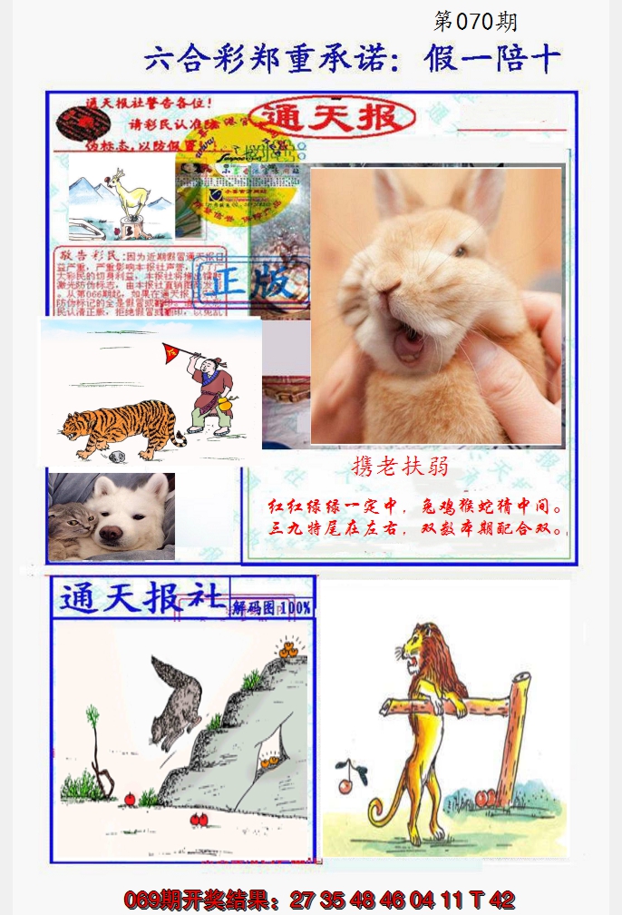 2025070期假一陪十通天报