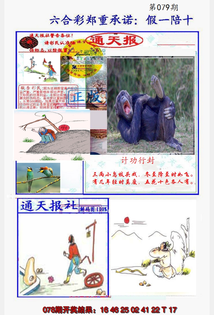 2025079期假一陪十通天报