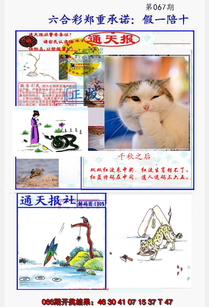 2025067期假一陪十通天报