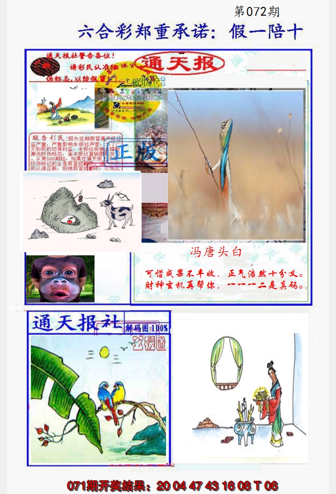 2025072期假一陪十通天报