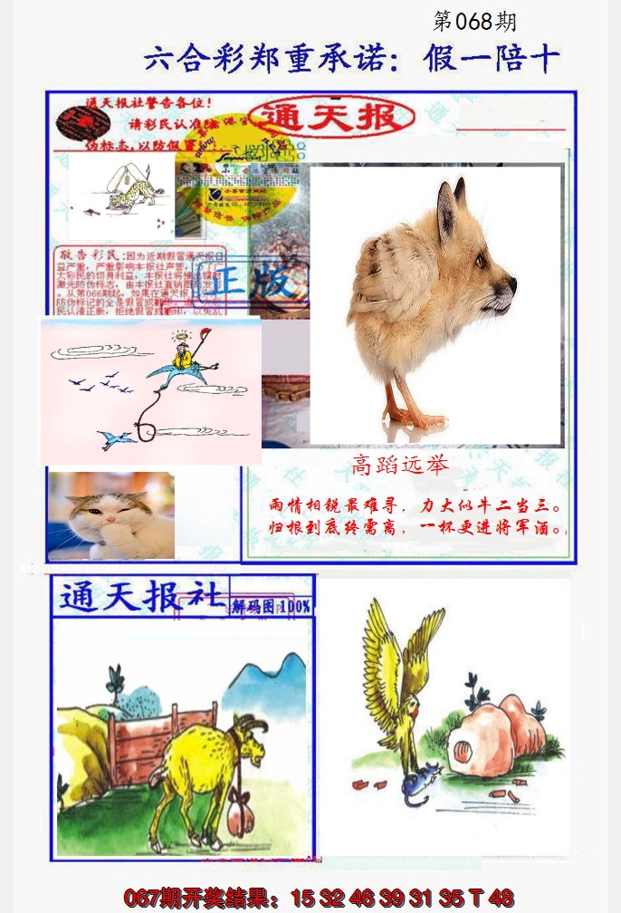 2025068期假一陪十通天报