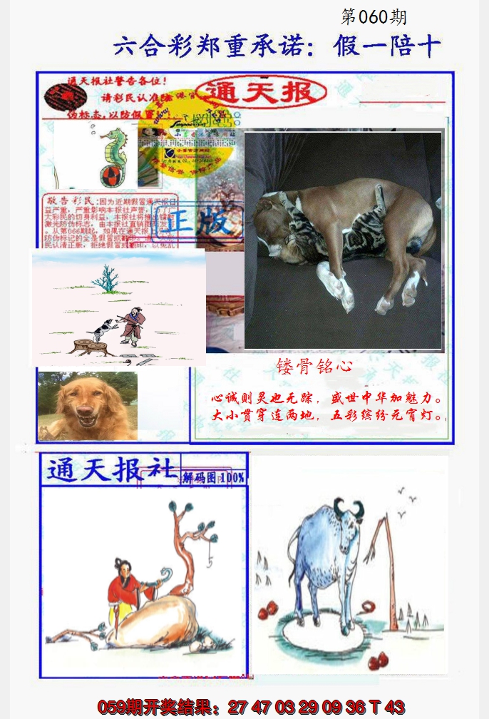 2025060期假一陪十通天报