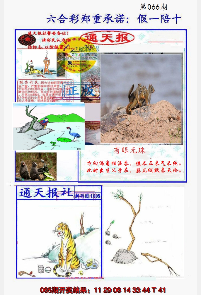 2025066期假一陪十通天报