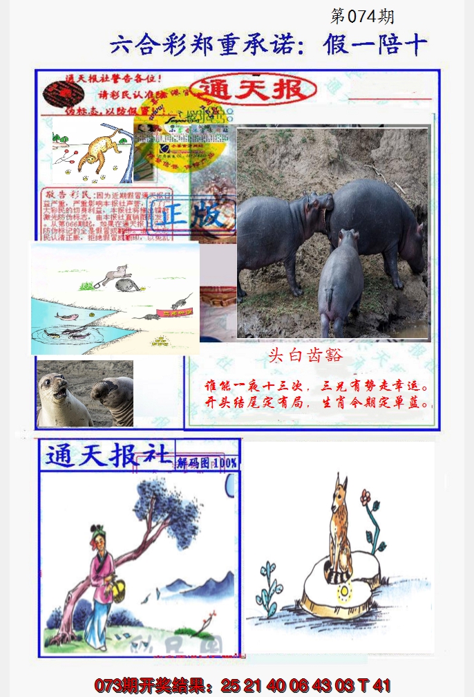 2025074期假一陪十通天报