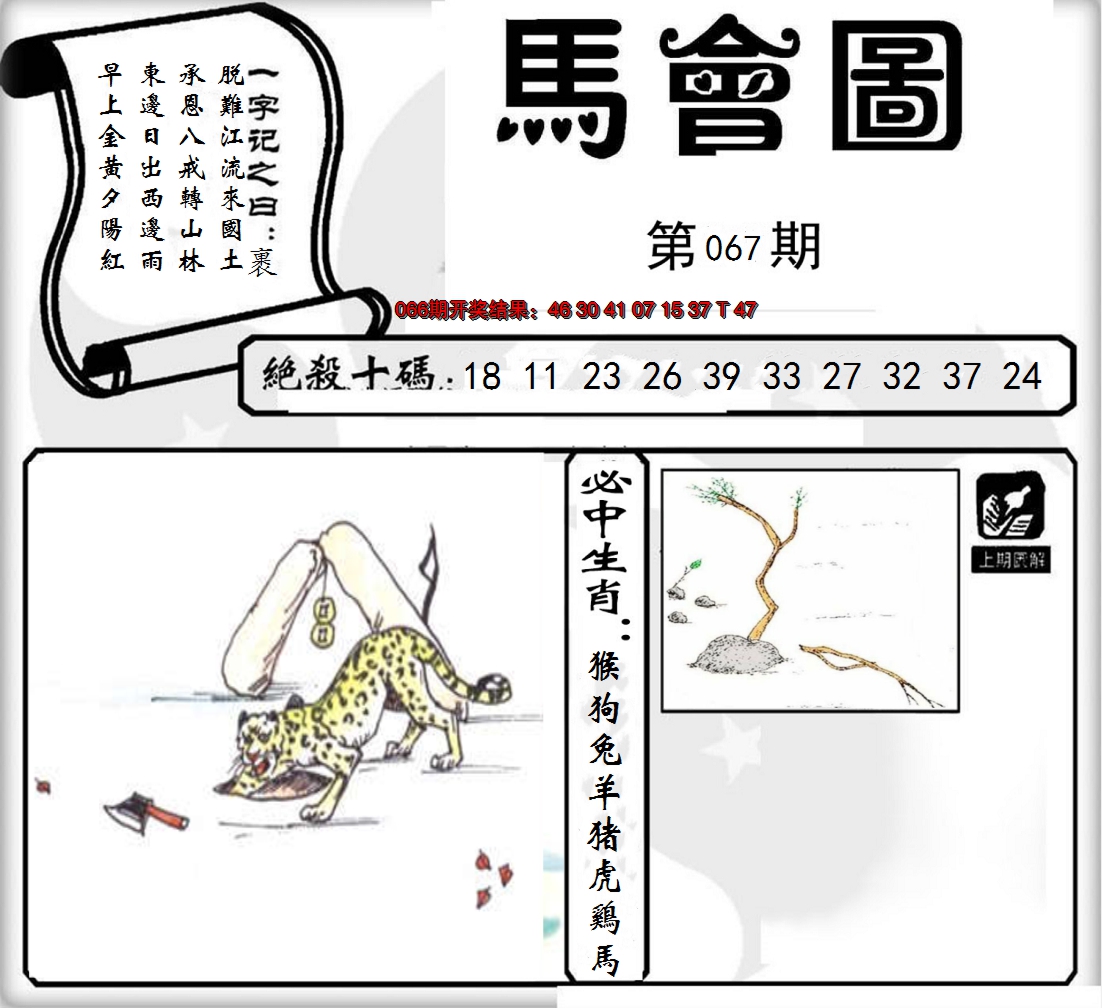 2025067期马会图