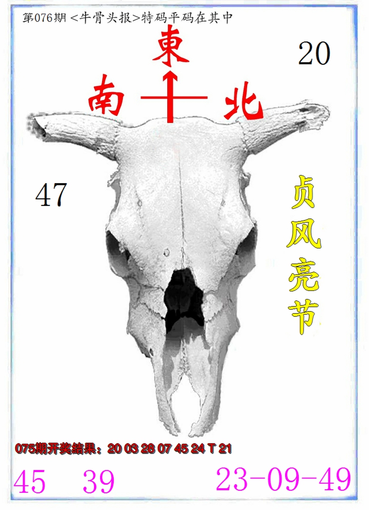 2025076期牛派系列7