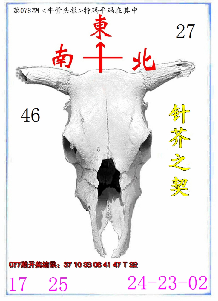 2025078期牛派系列7