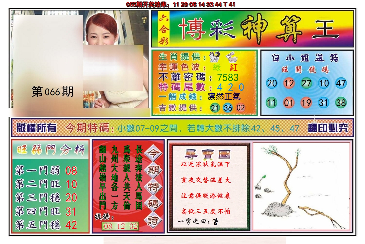 2025066期博彩神算王