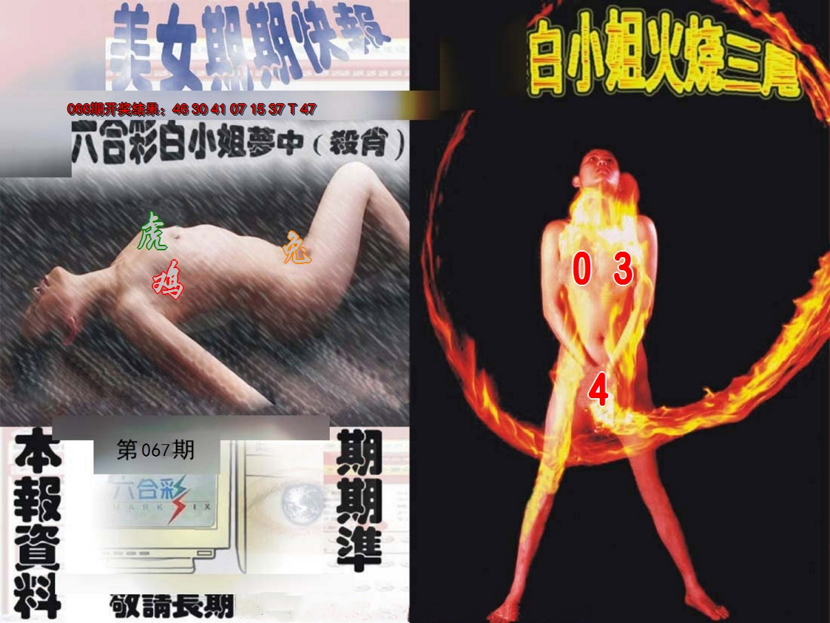 2025067期环球美女特码报