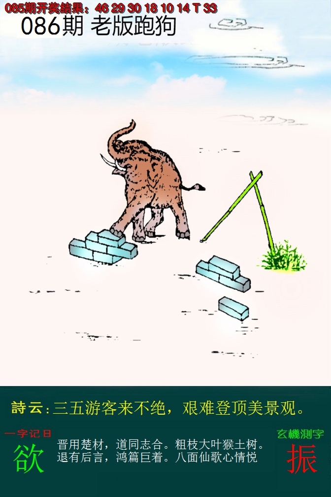 2025086期老版跑狗