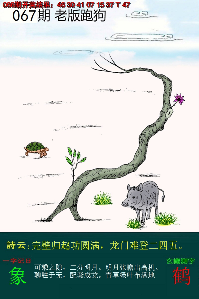 2025067期老版跑狗