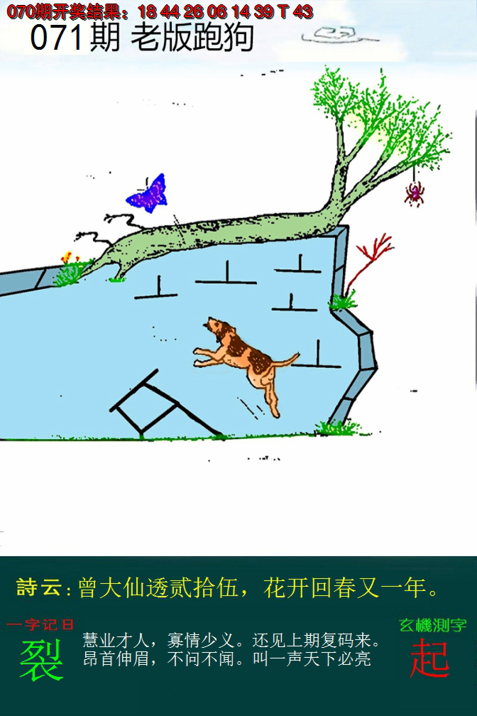 2025071期老版跑狗