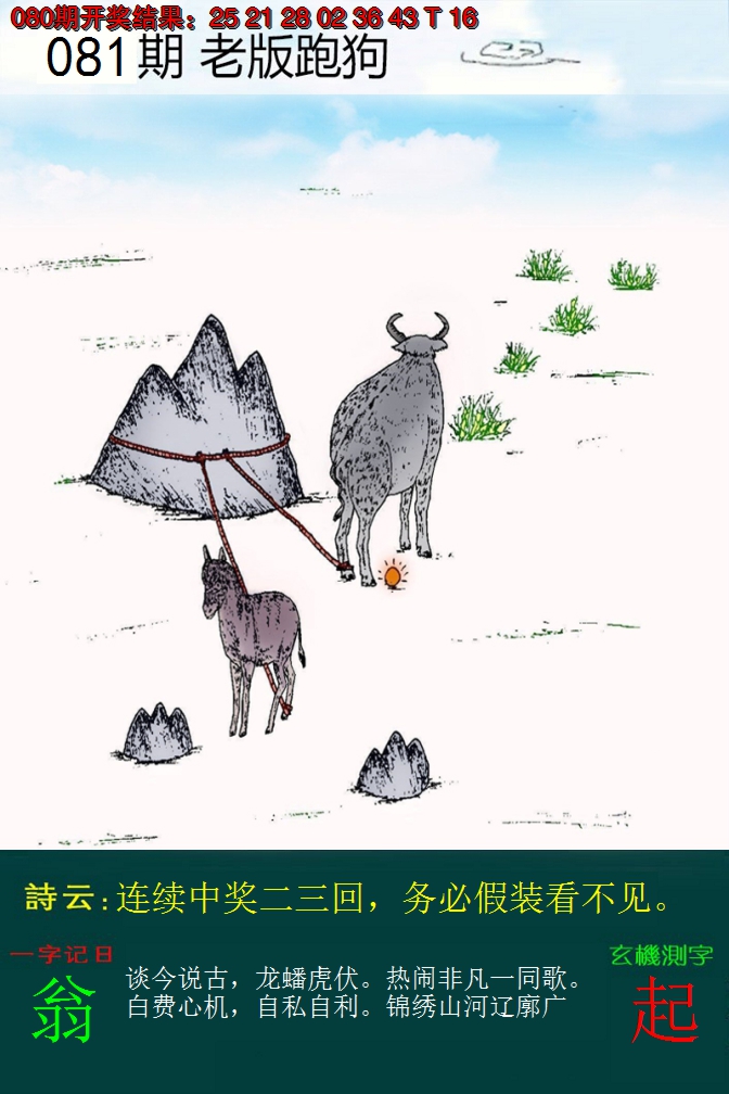 2025081期老版跑狗