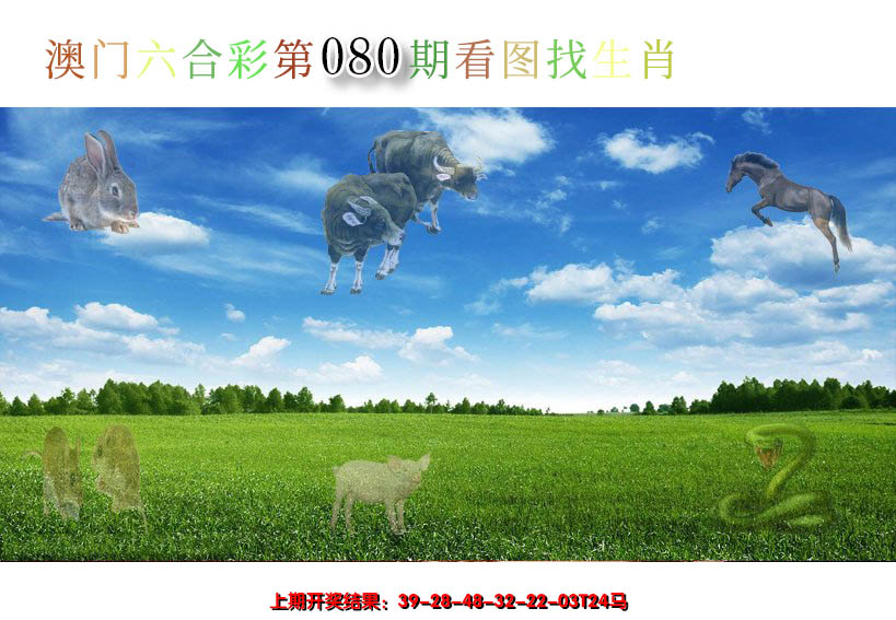 2025080期看图找生肖