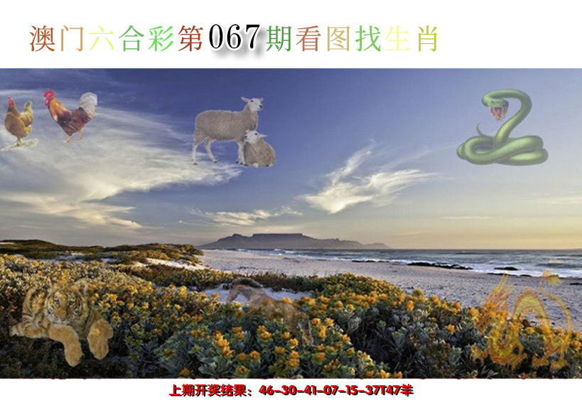 2025067期看图找生肖