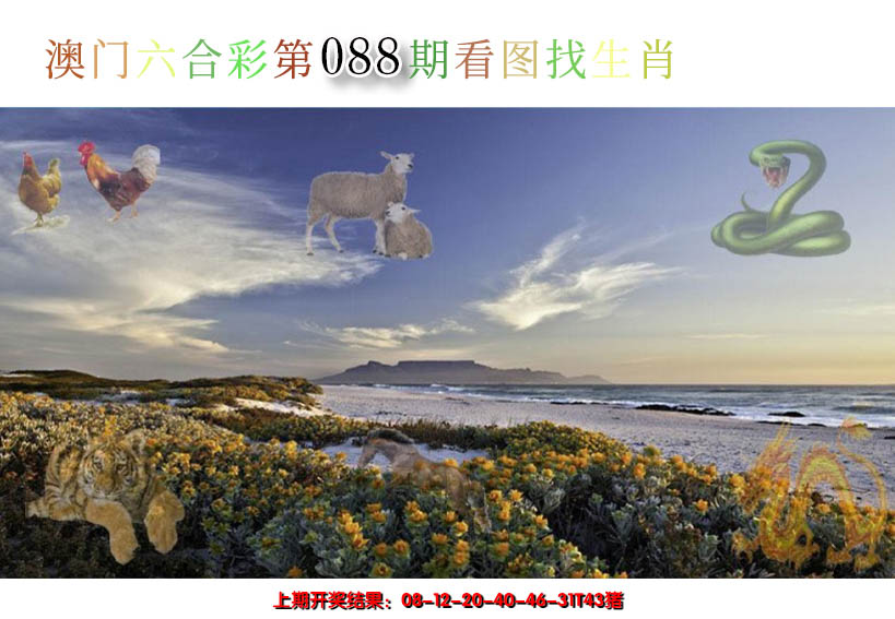 2025088期看图找生肖