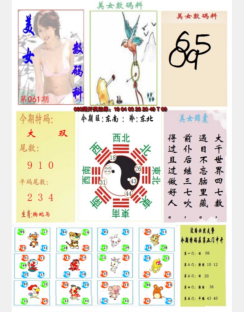 2025061期美女数码料