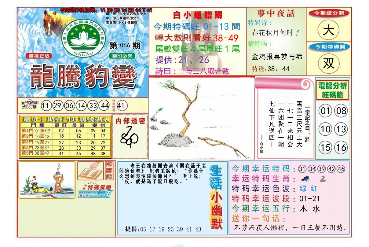 2025066期龙腾豹变