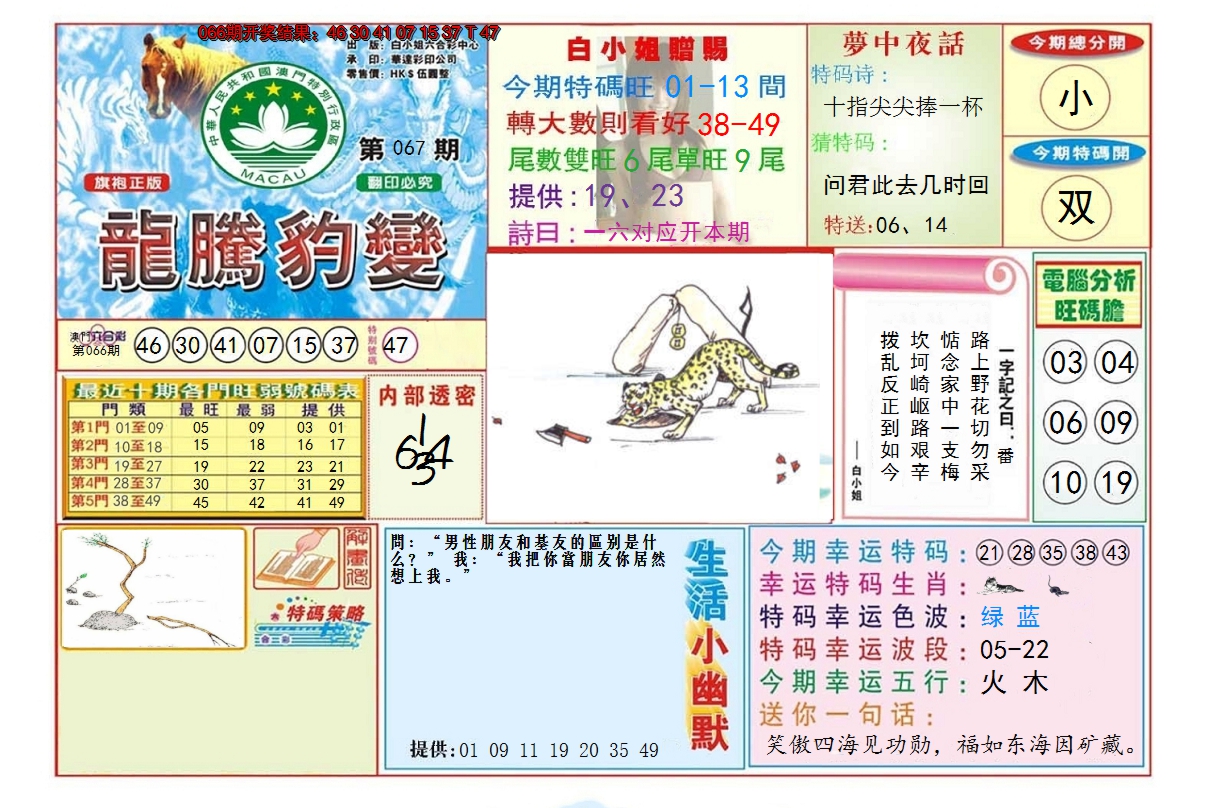 2025067期龙腾豹变
