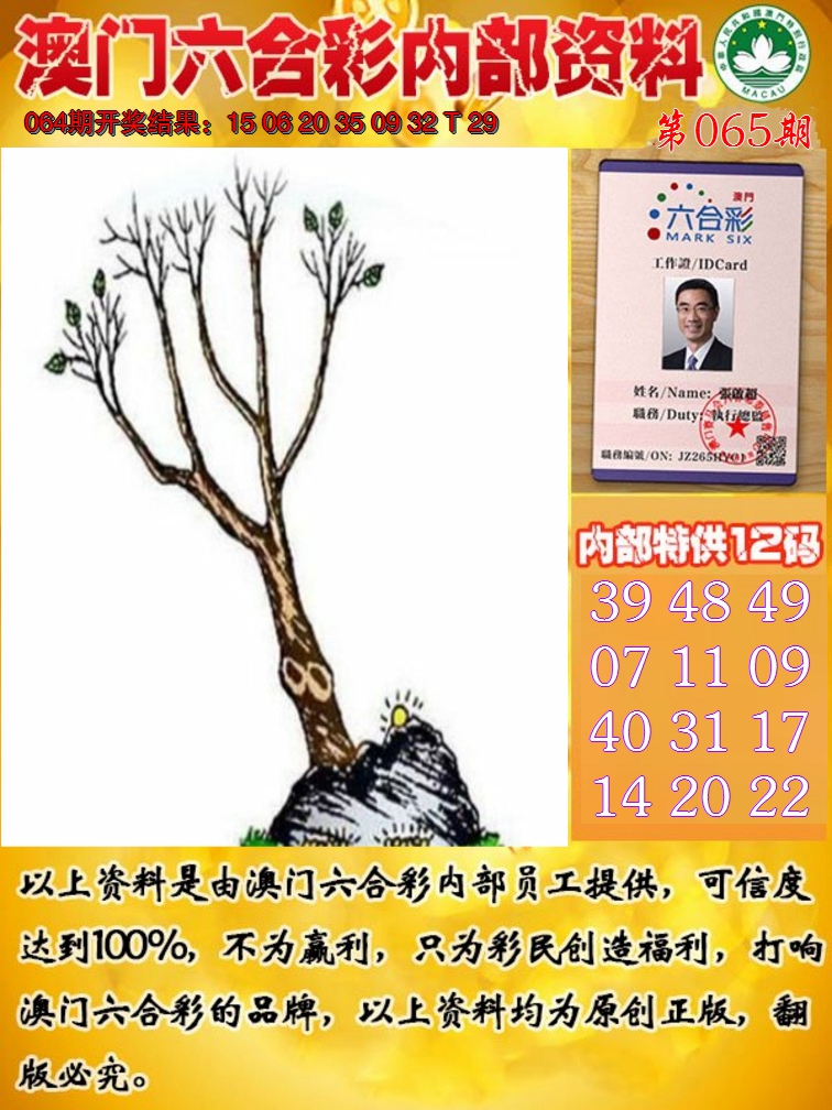 2025065期六合内部资料