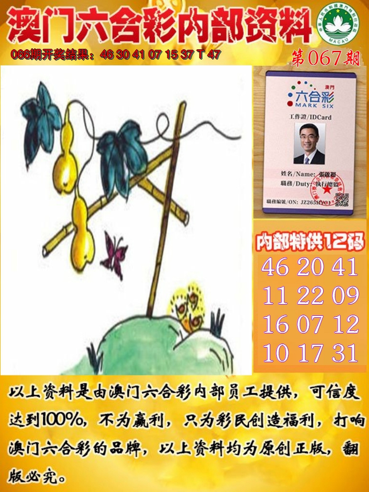 2025067期六合内部资料