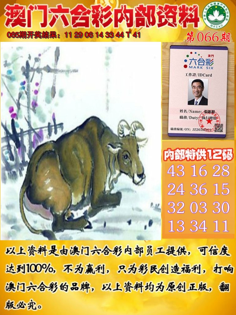 2025066期六合内部资料