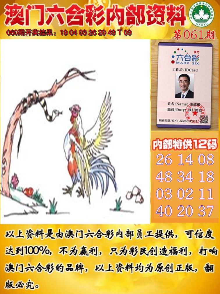 2025061期六合内部资料
