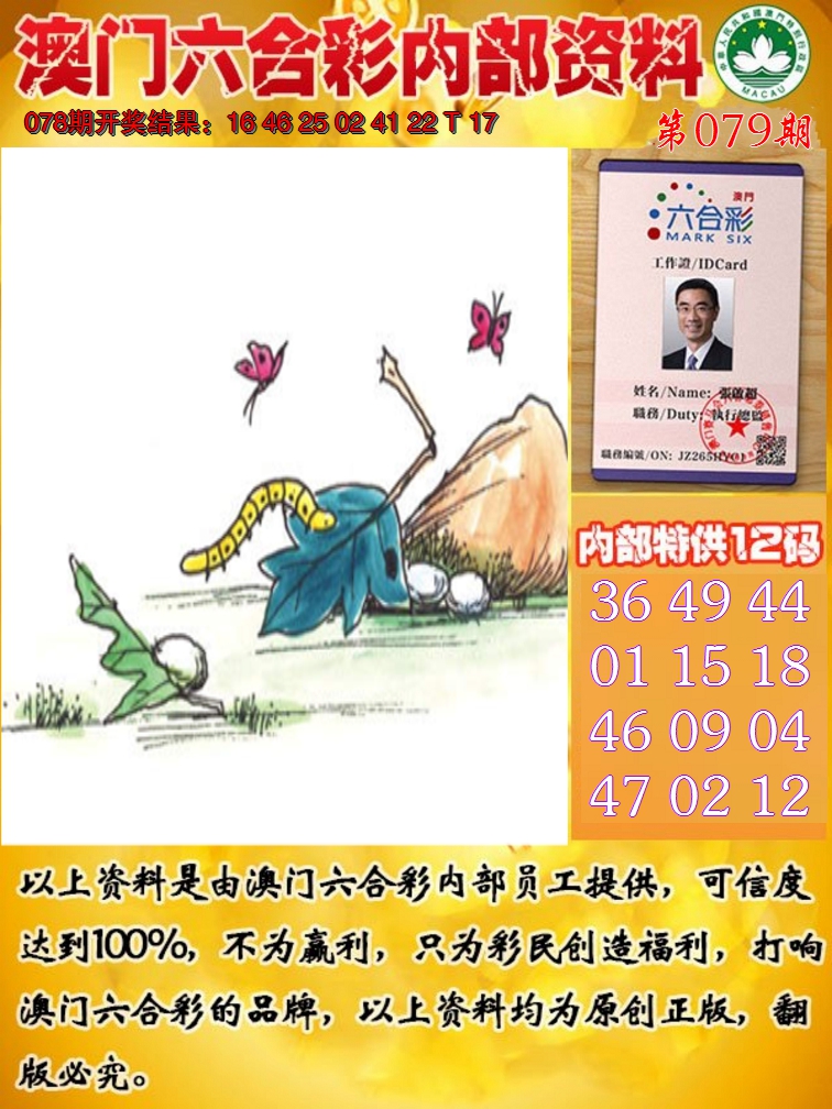 2025079期六合内部资料
