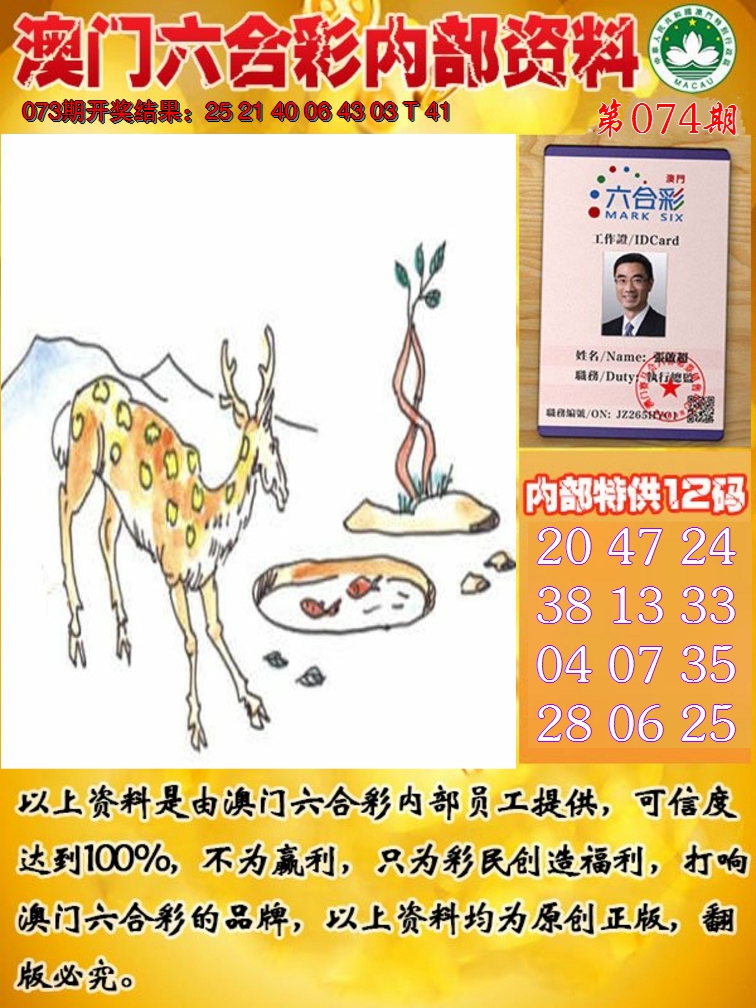 2025074期六合内部资料