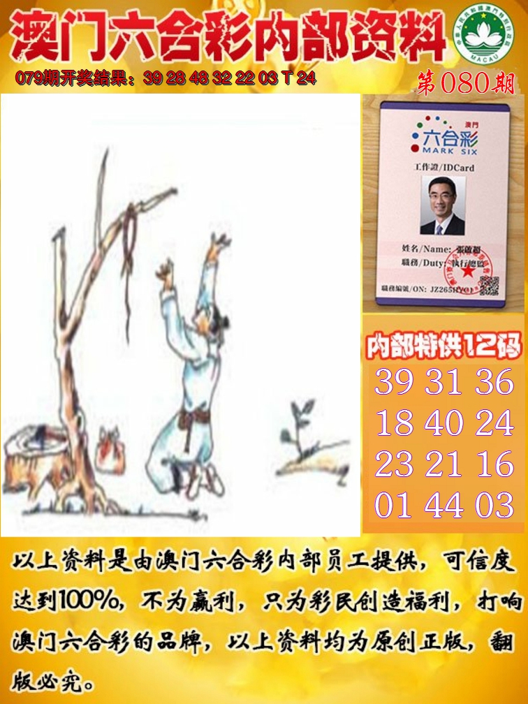 2025080期六合内部资料