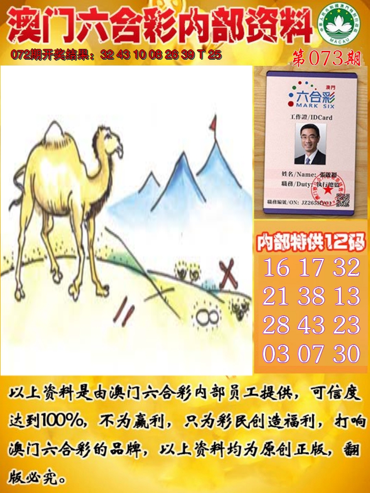 2025073期六合内部资料