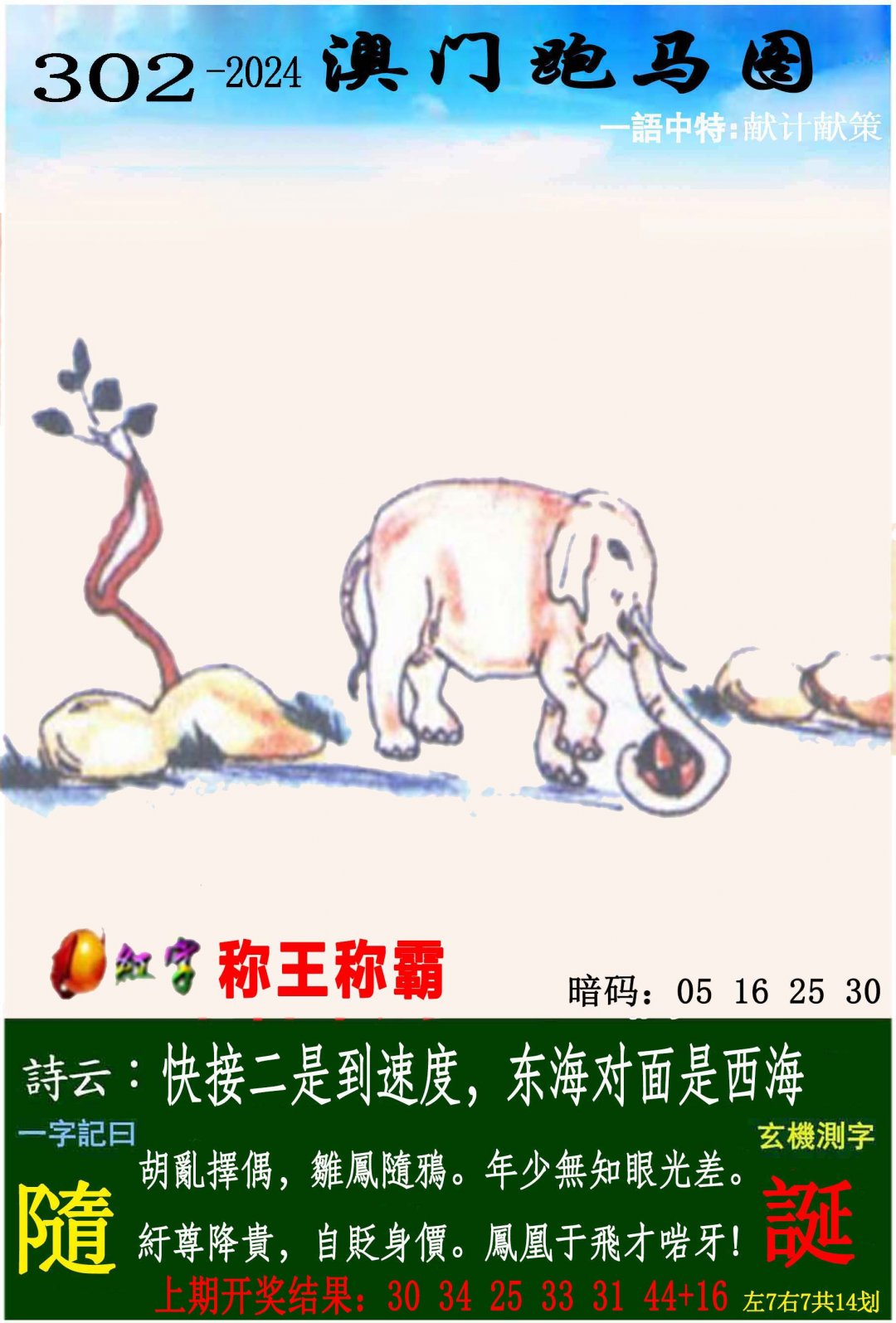 2024302期跑马图