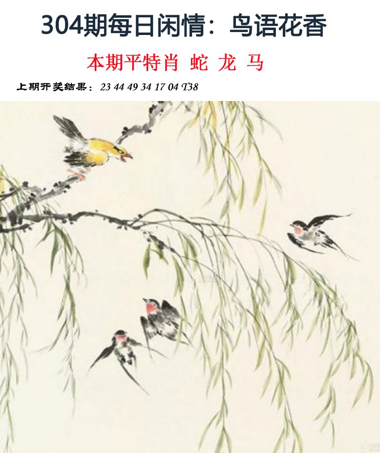 2024304期每日闲情